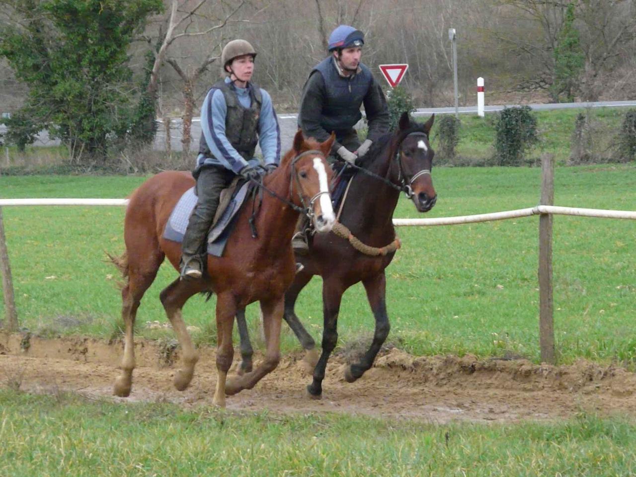 100120 Débourrage Galop