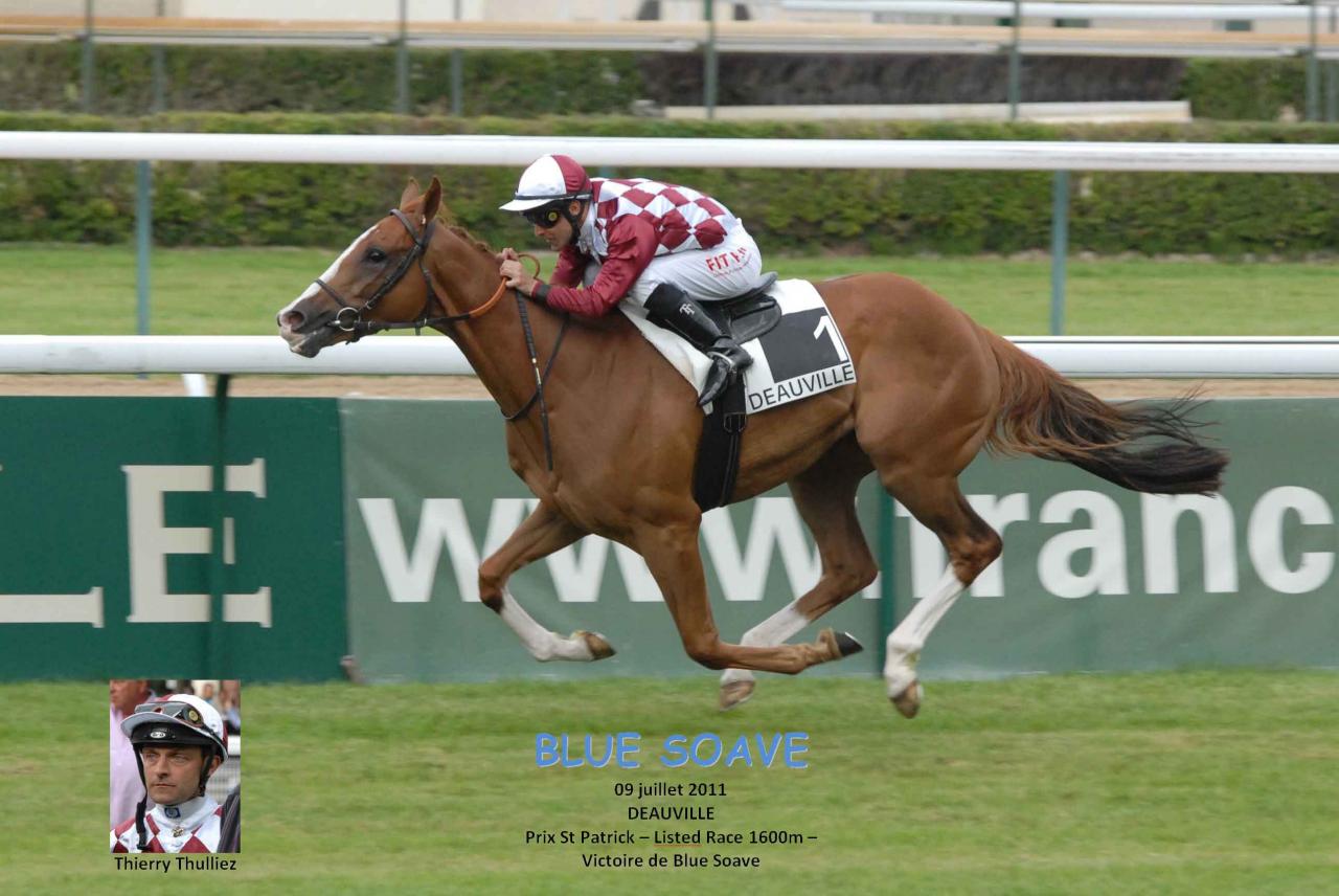 110709 Deauville Listed (7)