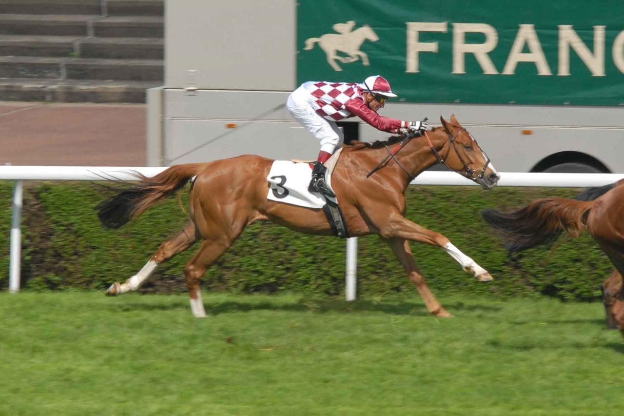 120501 Prix du Muguet St Cloud (2)