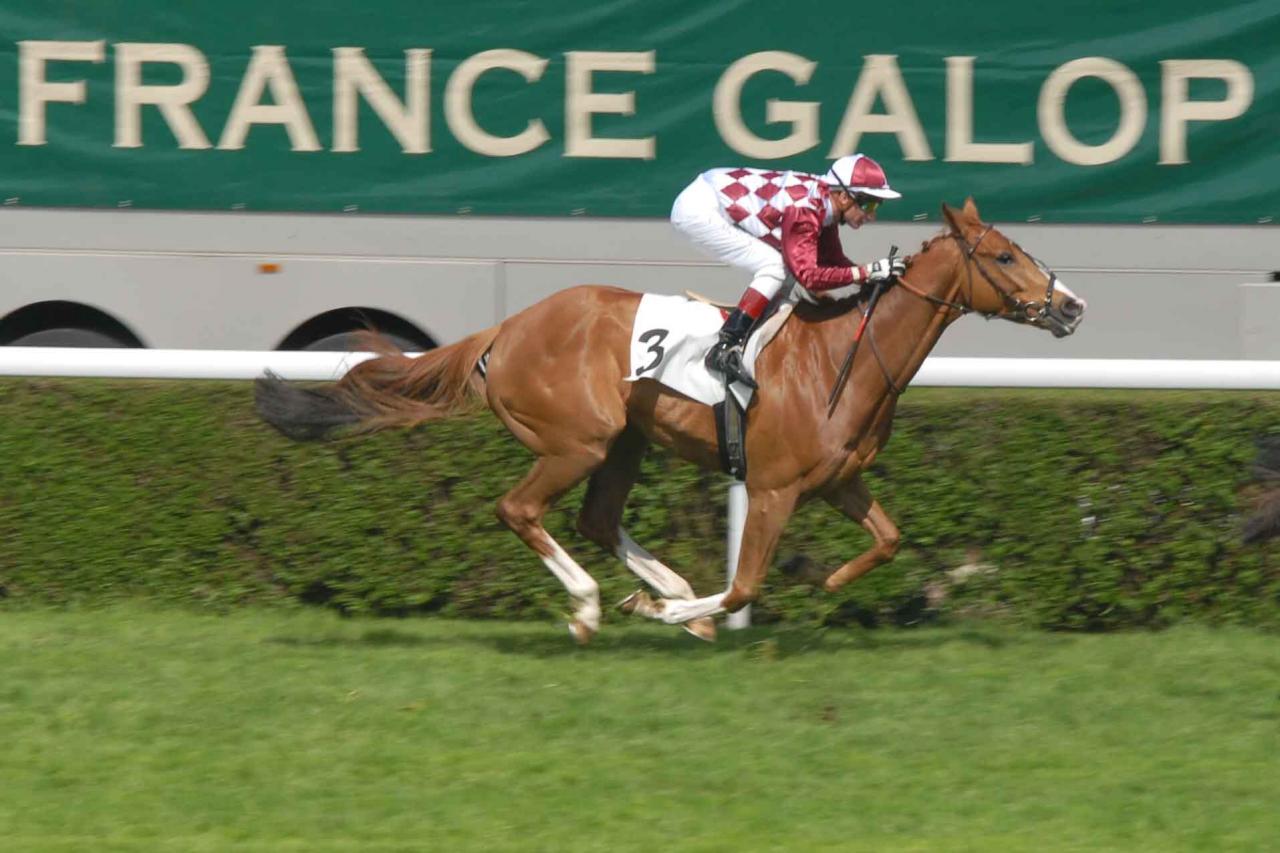 120501 Prix du Muguet St Cloud (3)
