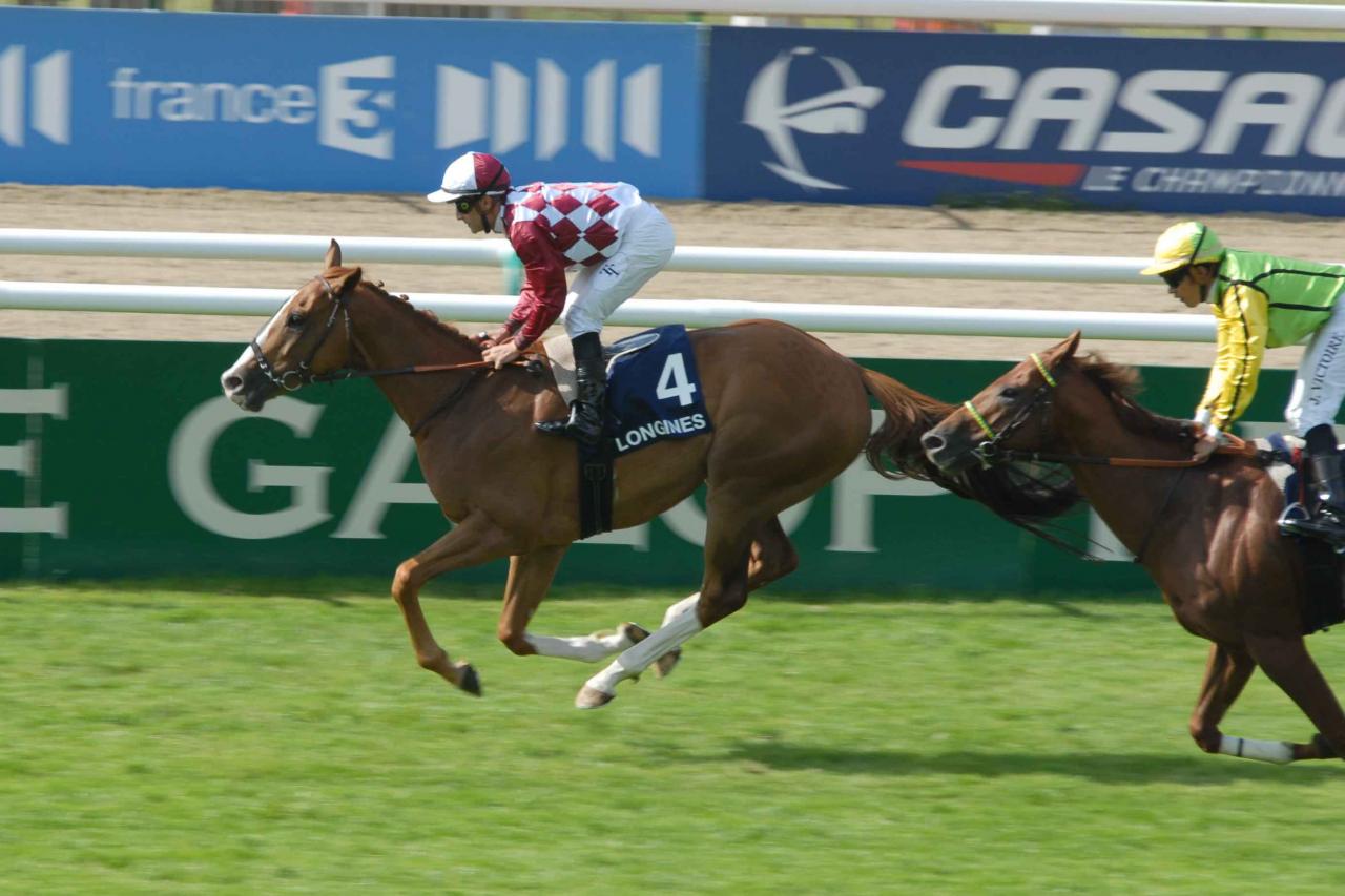 120617 Prix Chemin Fer Nord Chantilly (1)