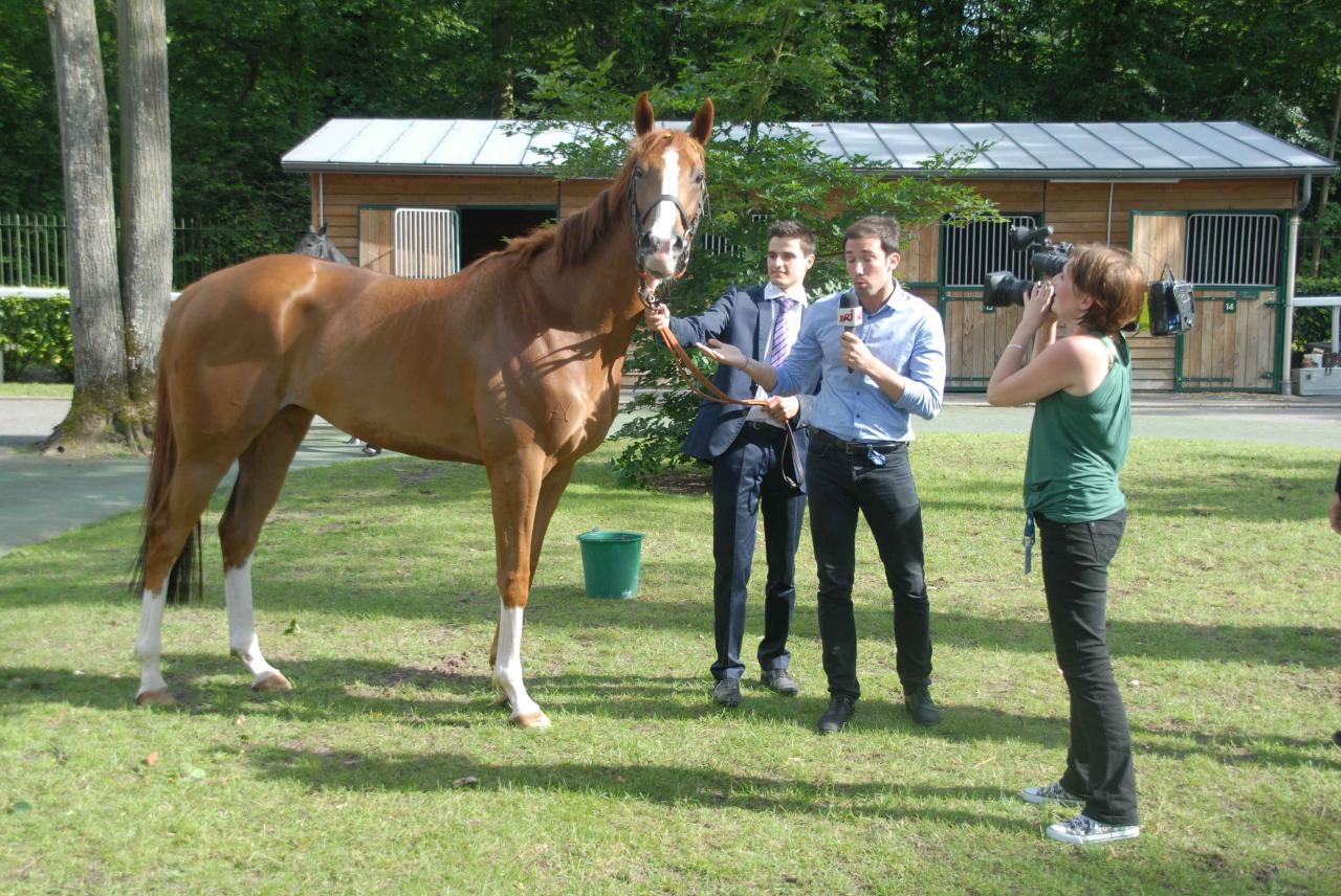 120617 Prix Chemin Fer Nord Chantilly (4)