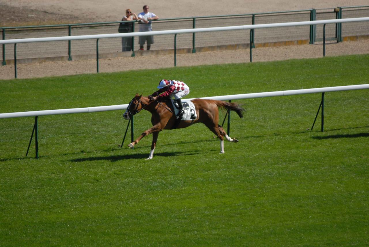 120909 Prix du Pin Longchamp (1)