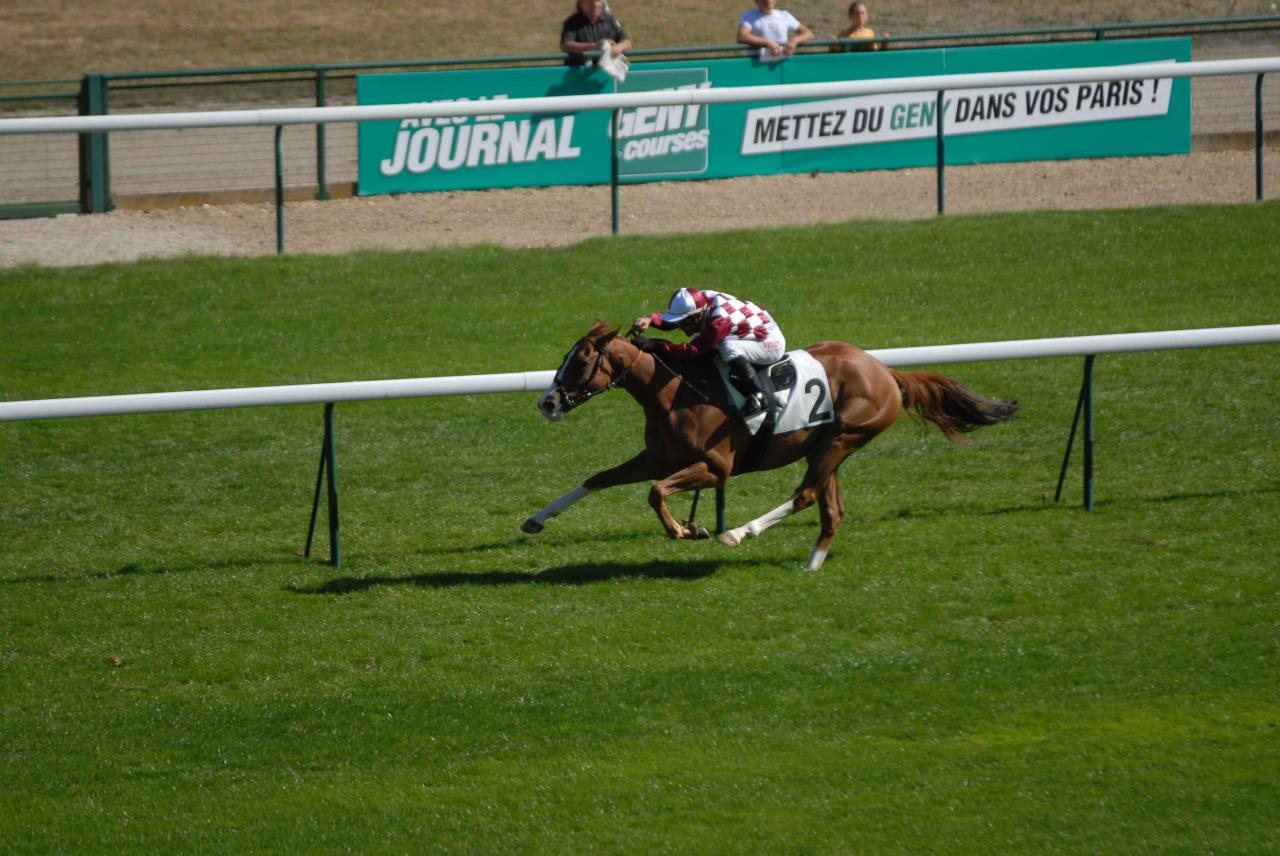 120909 Prix du Pin Longchamp (3)