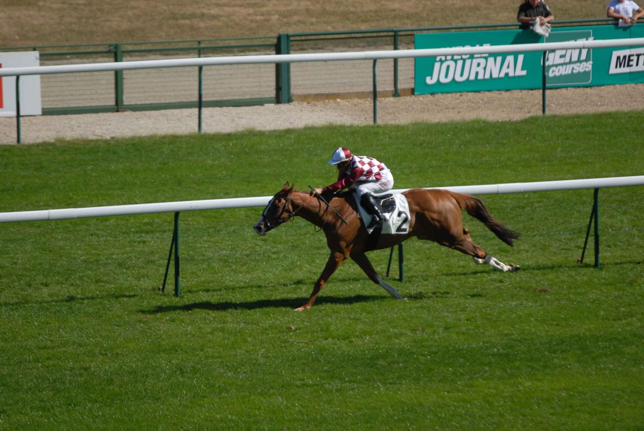120909 Prix du Pin Longchamp (4)
