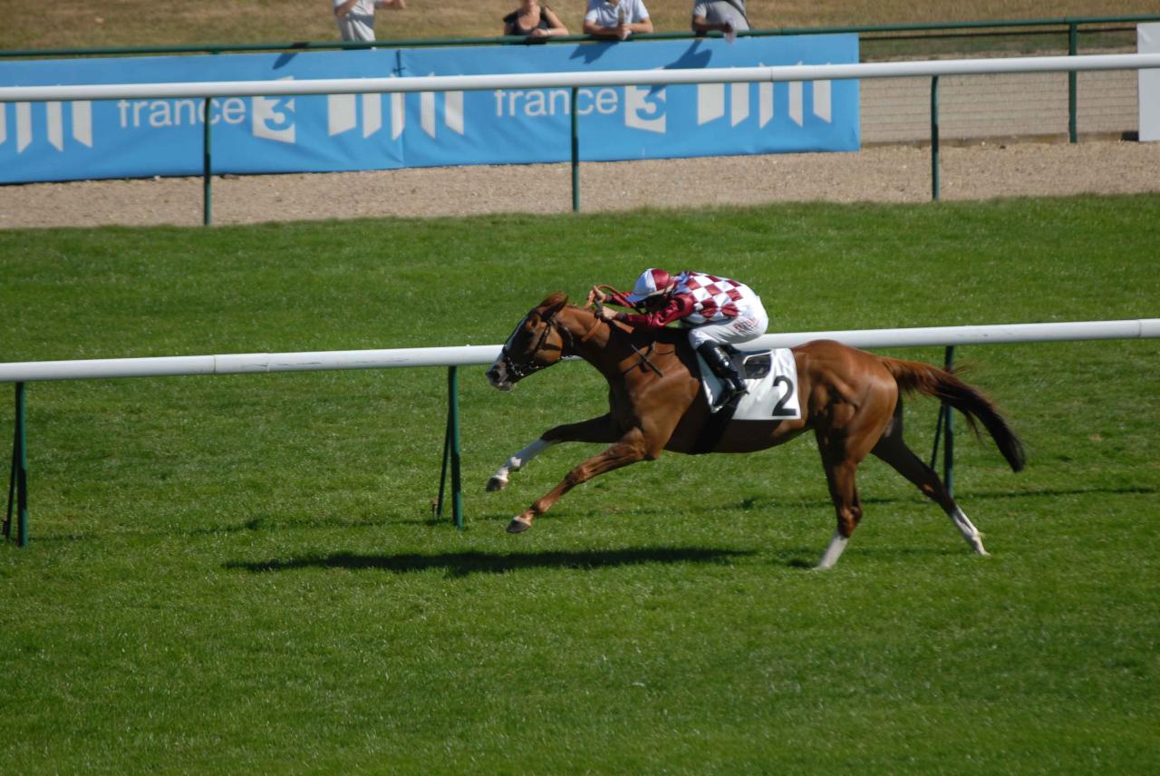 120909 Prix du Pin Longchamp (6)