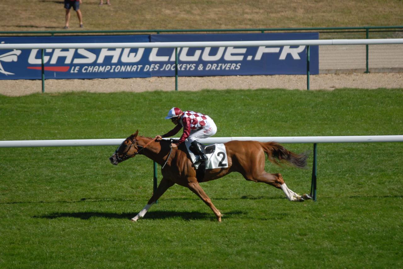 120909 Prix du Pin Longchamp (7)