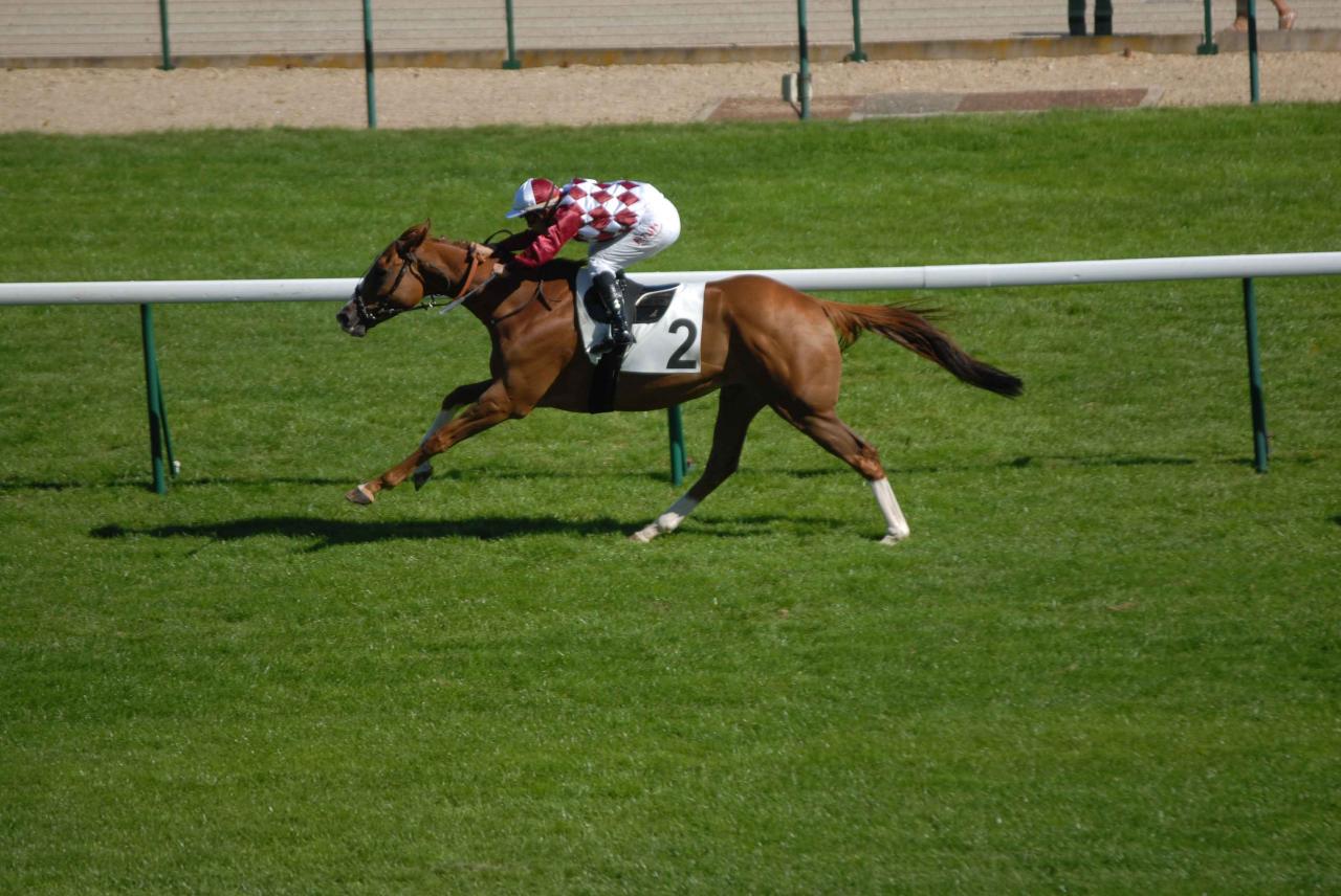 120909 Prix du Pin Longchamp (8)