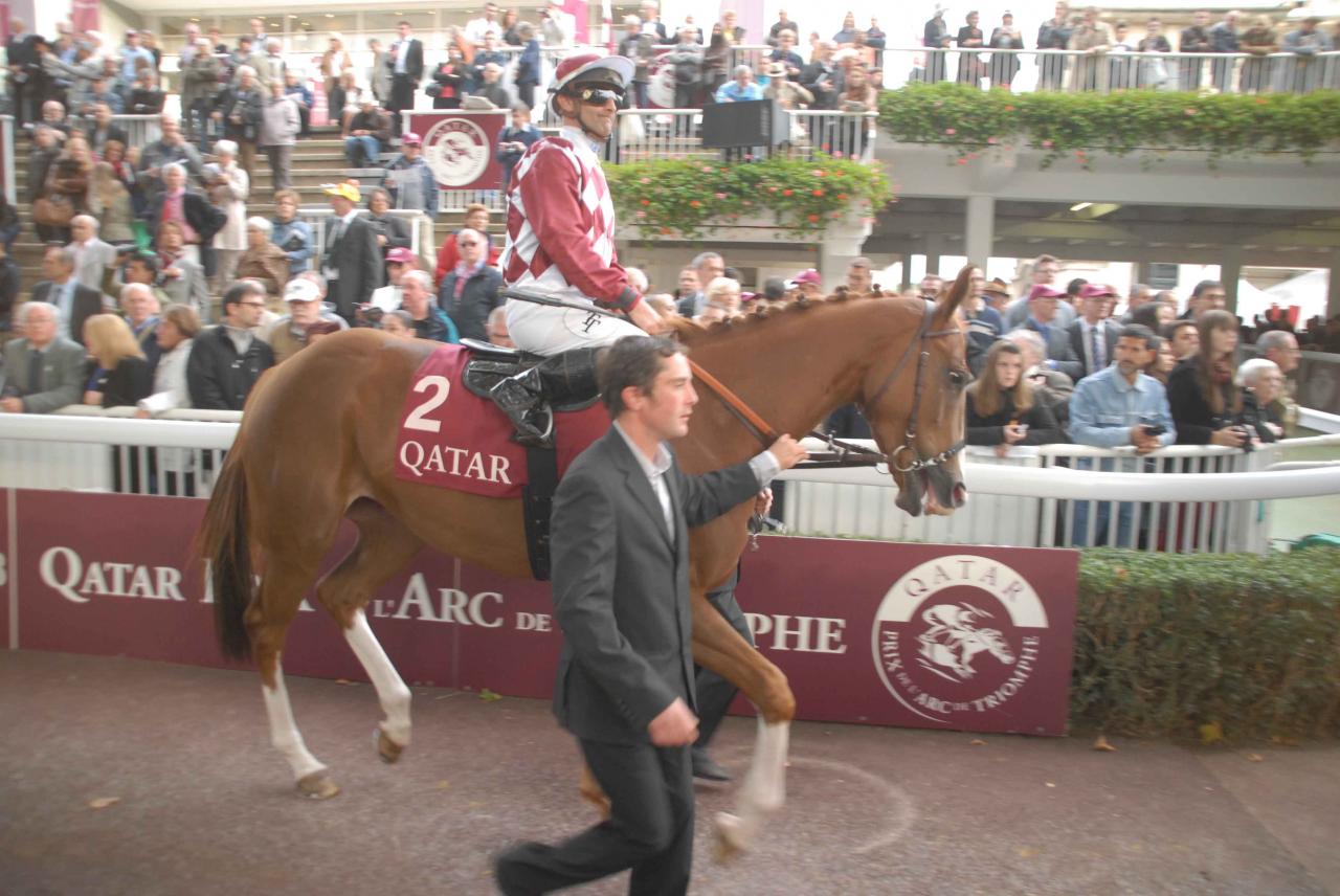 121007 Qatar Prix de la Forêt Lonchamp (4)