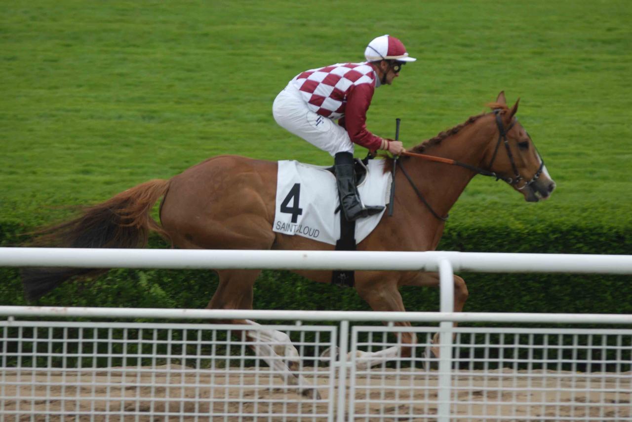 130501 Prix du Muguet Vers le départ