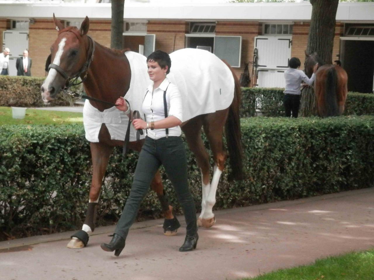 130901 Echauffement avec Margaux Prix LFPC Longchamp