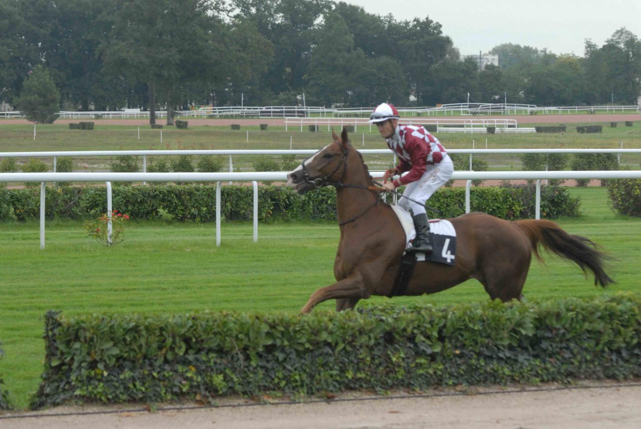 131008 Le Bouscat Canter