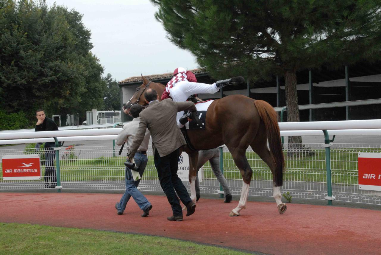 131008 Le Bouscat En selle