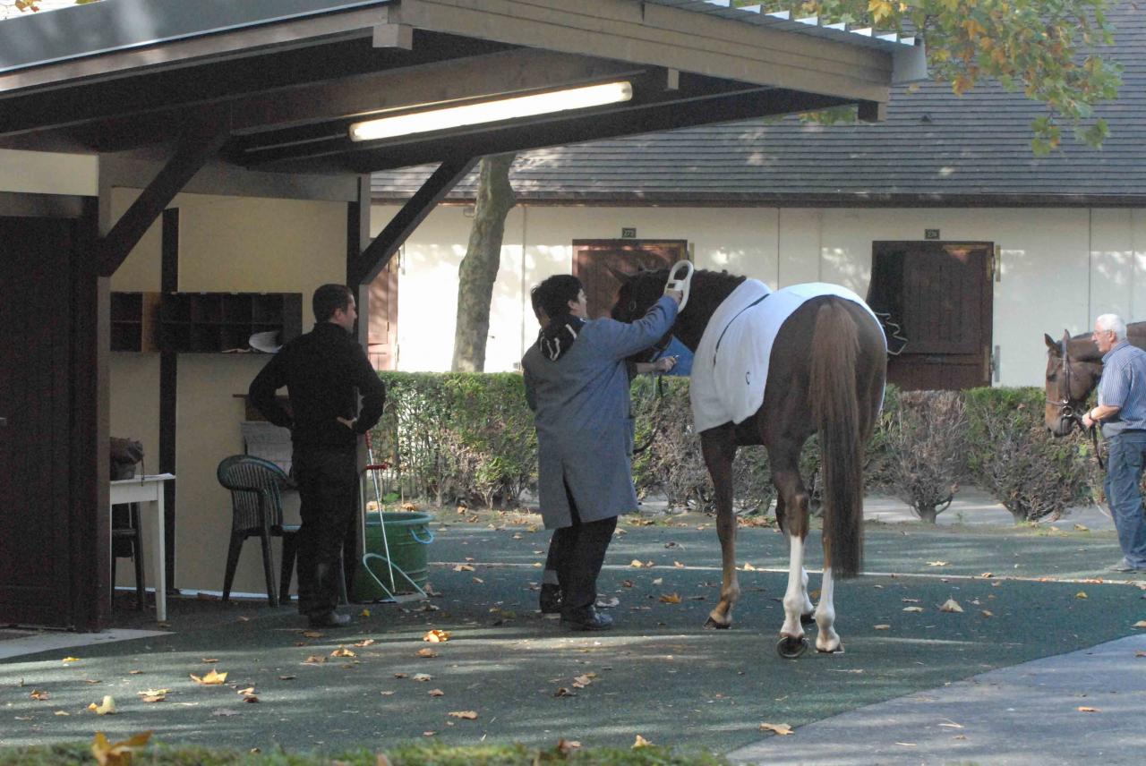 131023 Deauville Prix Motteraye (2)