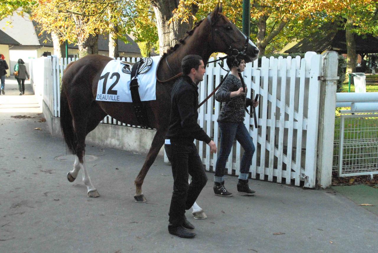 131023 Deauville Prix Motteraye (5)b