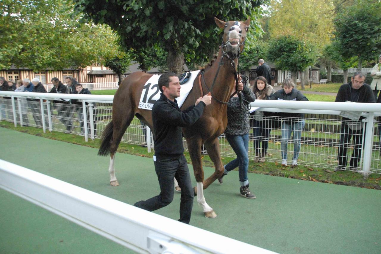 131023 Deauville Prix Motteraye (6)b