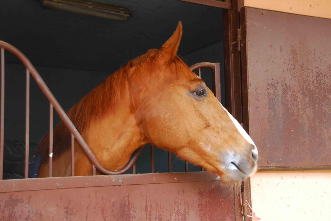 140208 Cagnes (11)