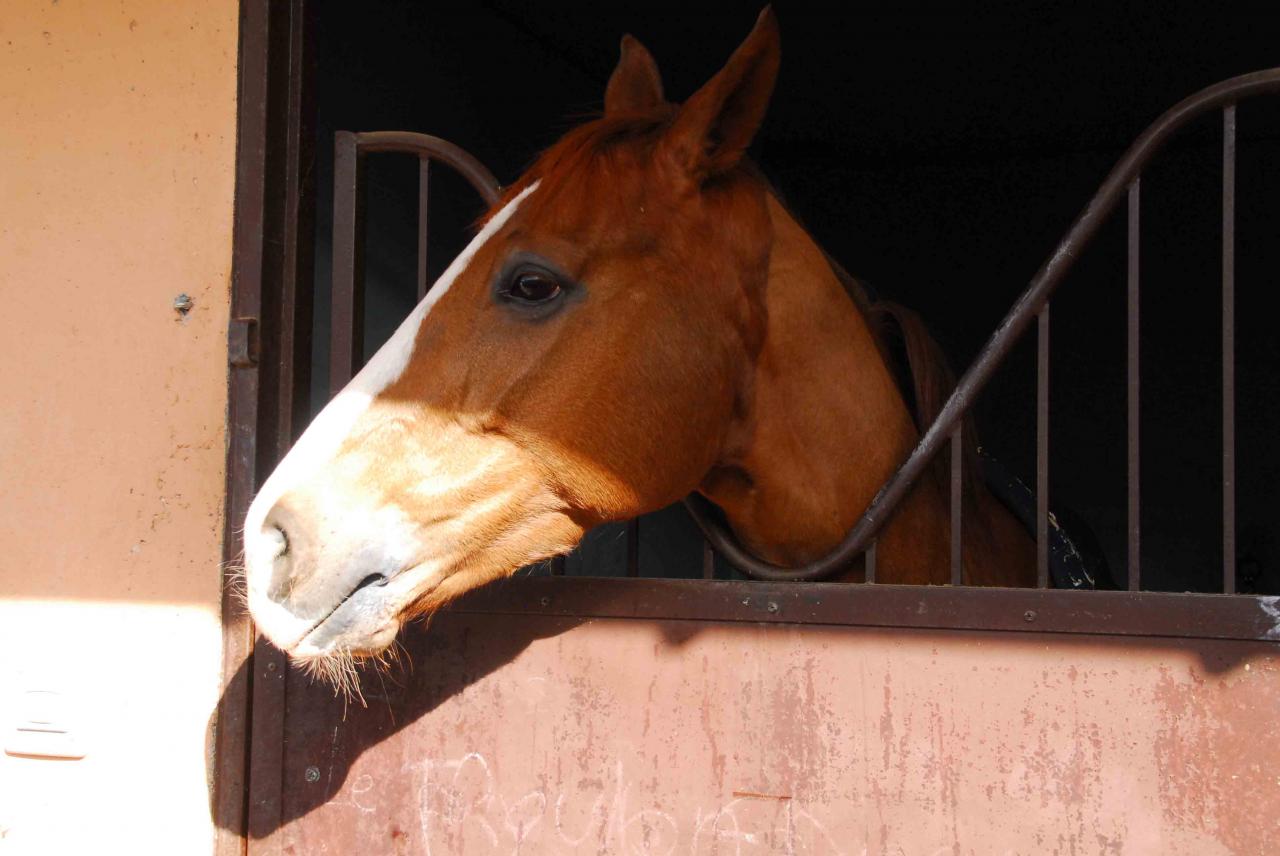 140208 Cagnes (12)