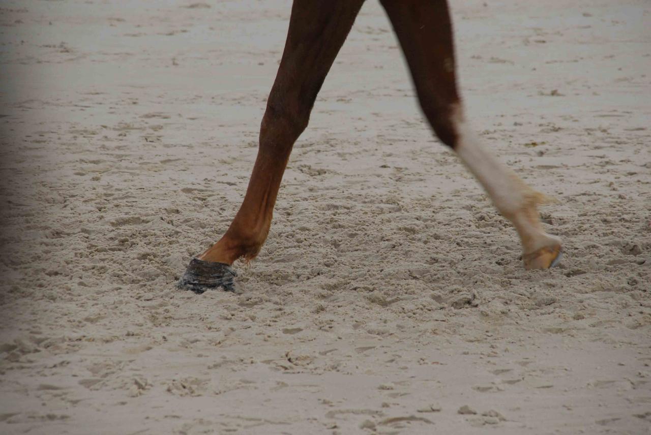 140208 Protection Sabot Cagnes
