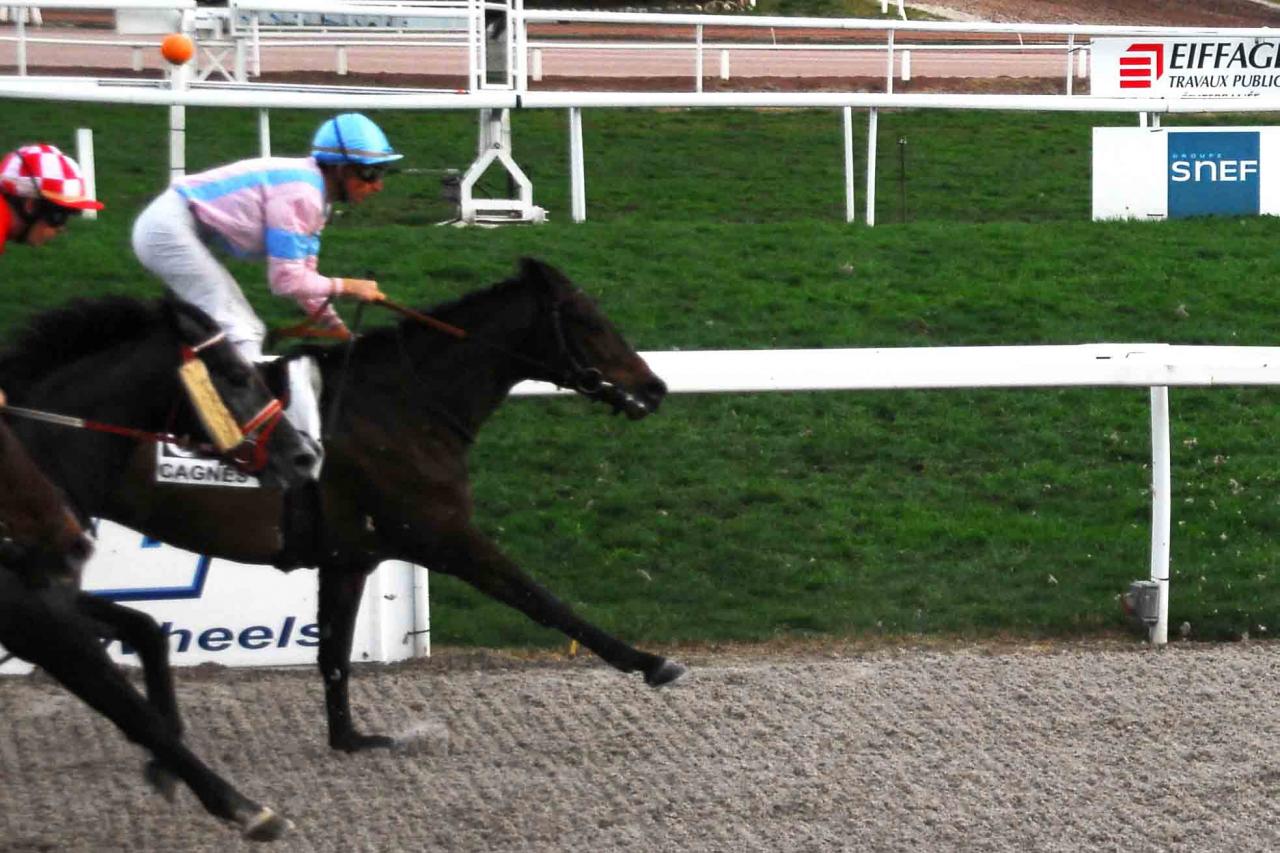 140209 Julius Quercus à Cagnes
