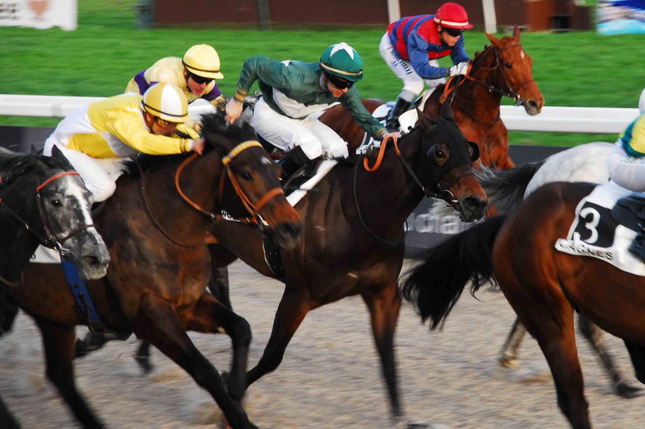 140209 Tigreville à Cagnes