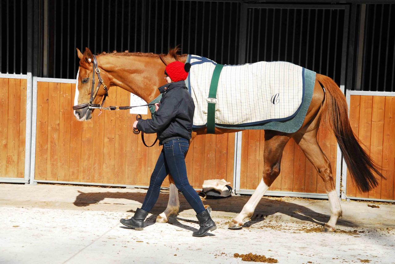 140305 Echauffement avec Margot 02