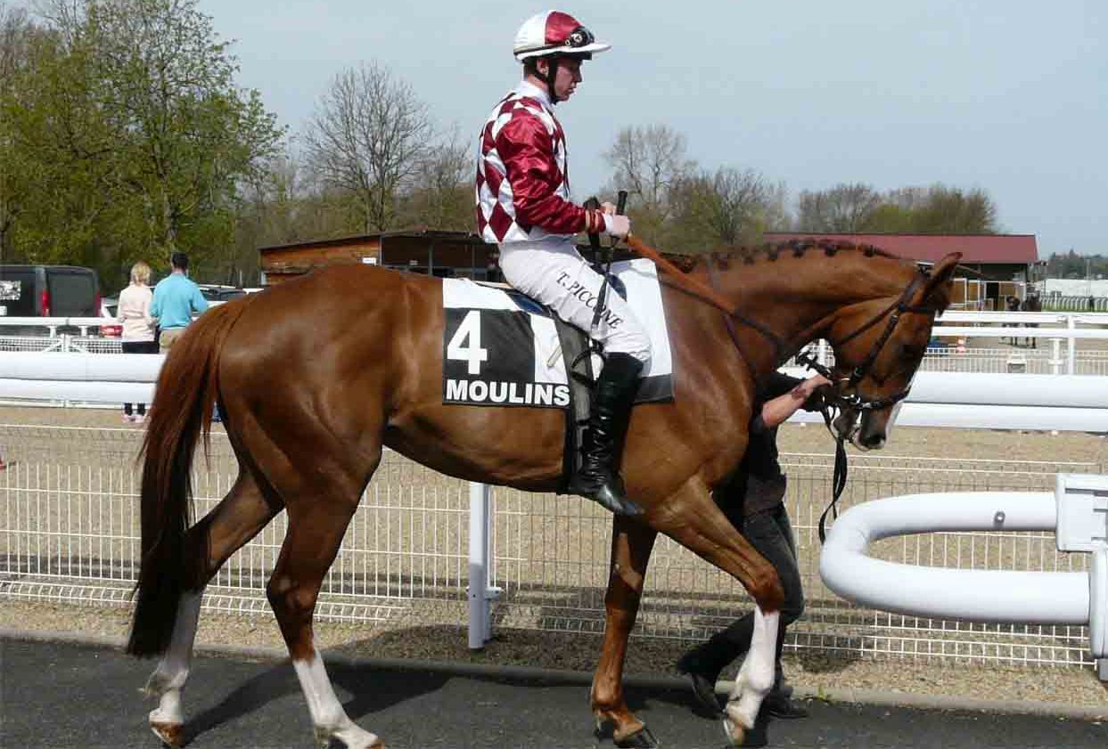 140331 Moulins - BLUE SOAVE et Tony PICCONE
