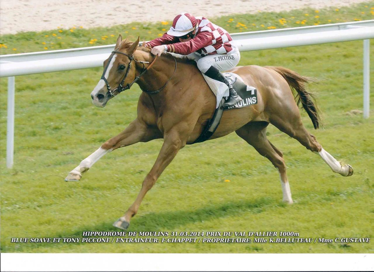 31 mars 2014 Moulins - En plein effort
