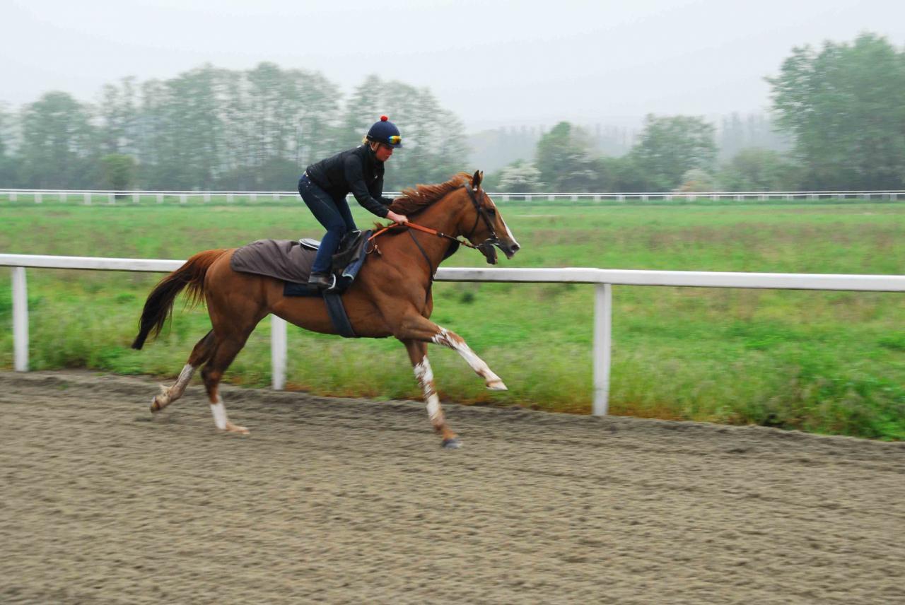 140502 Entraînement avec Aimee 12