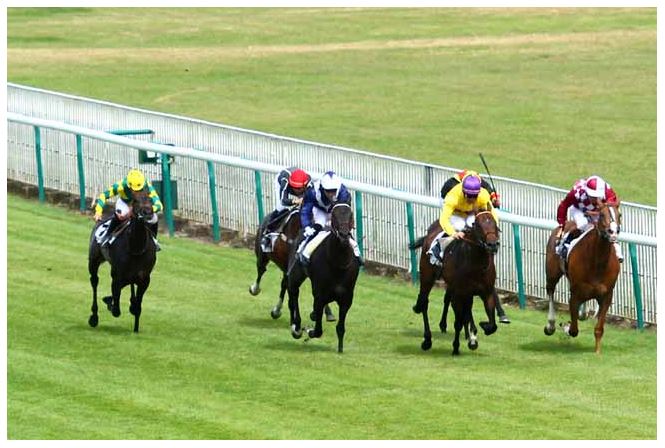 140623 Prix Aly Khan 01