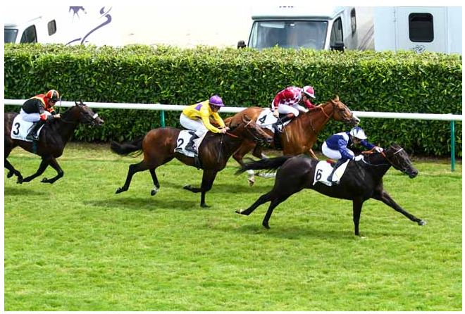 140623 Prix Aly Khan 04