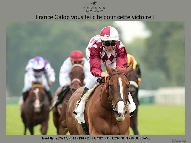 140729 Prix de la Croix de l'Oignon à Chantilly (6)