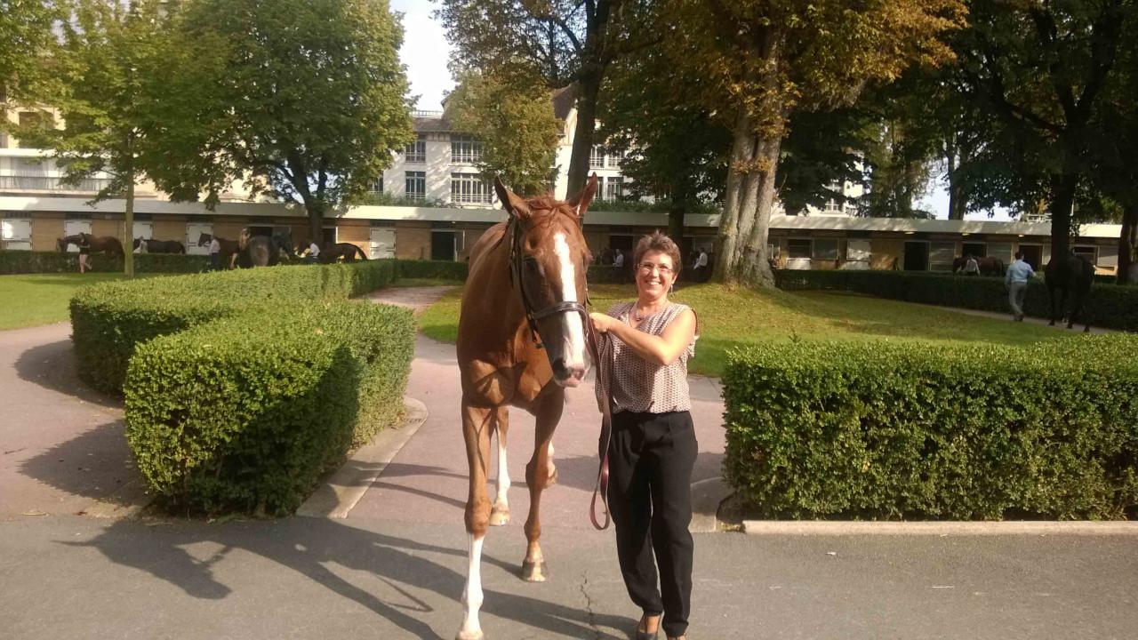 140907 Prix du Pin à Longchamp, Groupe III