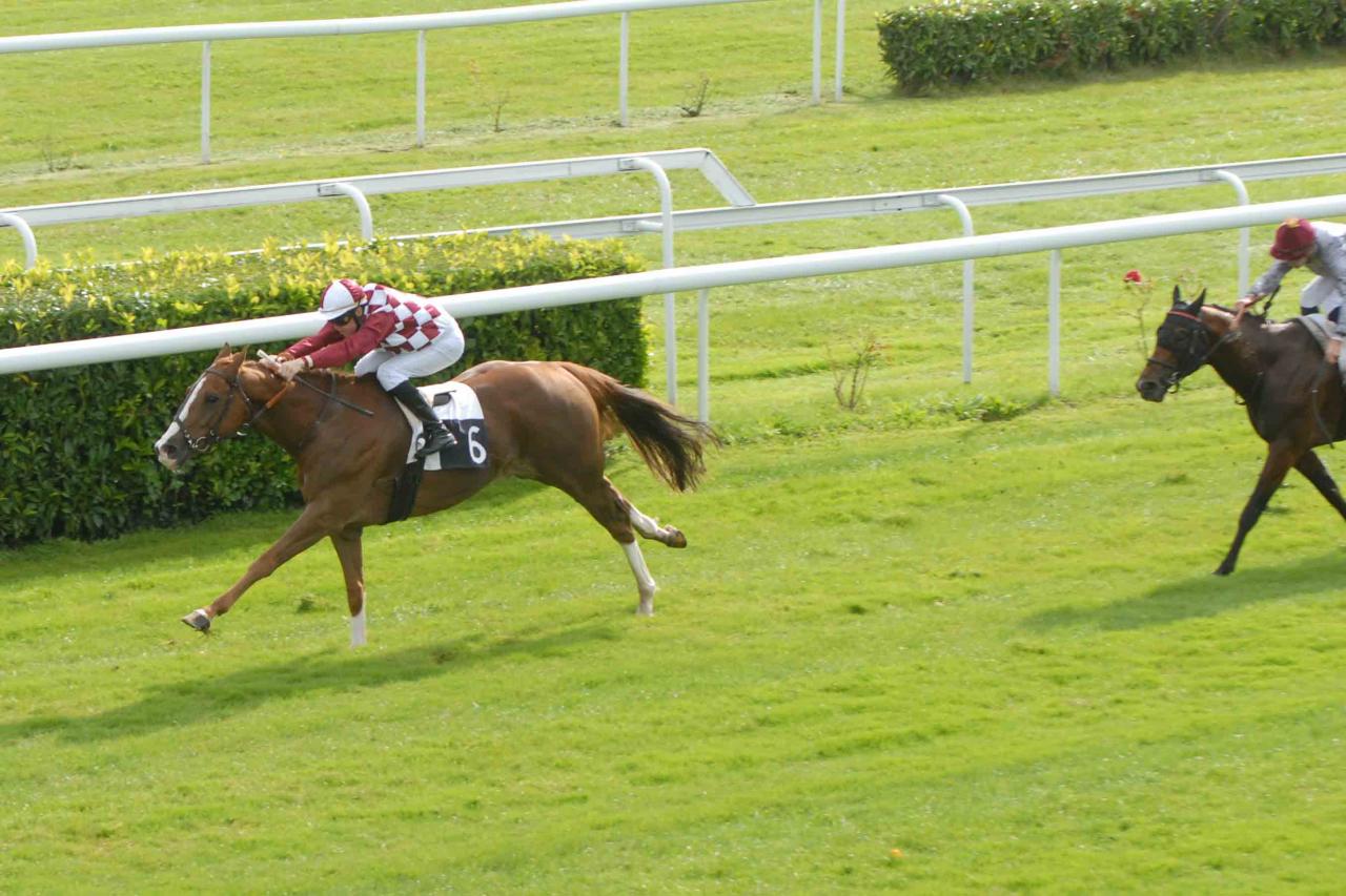 141007 Prix Jean Cruse au Bouscat