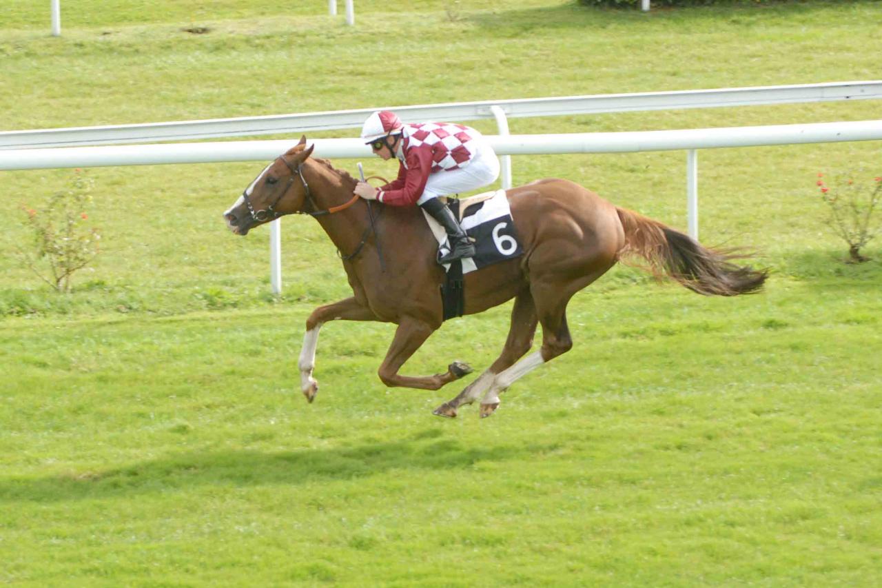 141007 Prix Jean Cruse au Bouscat