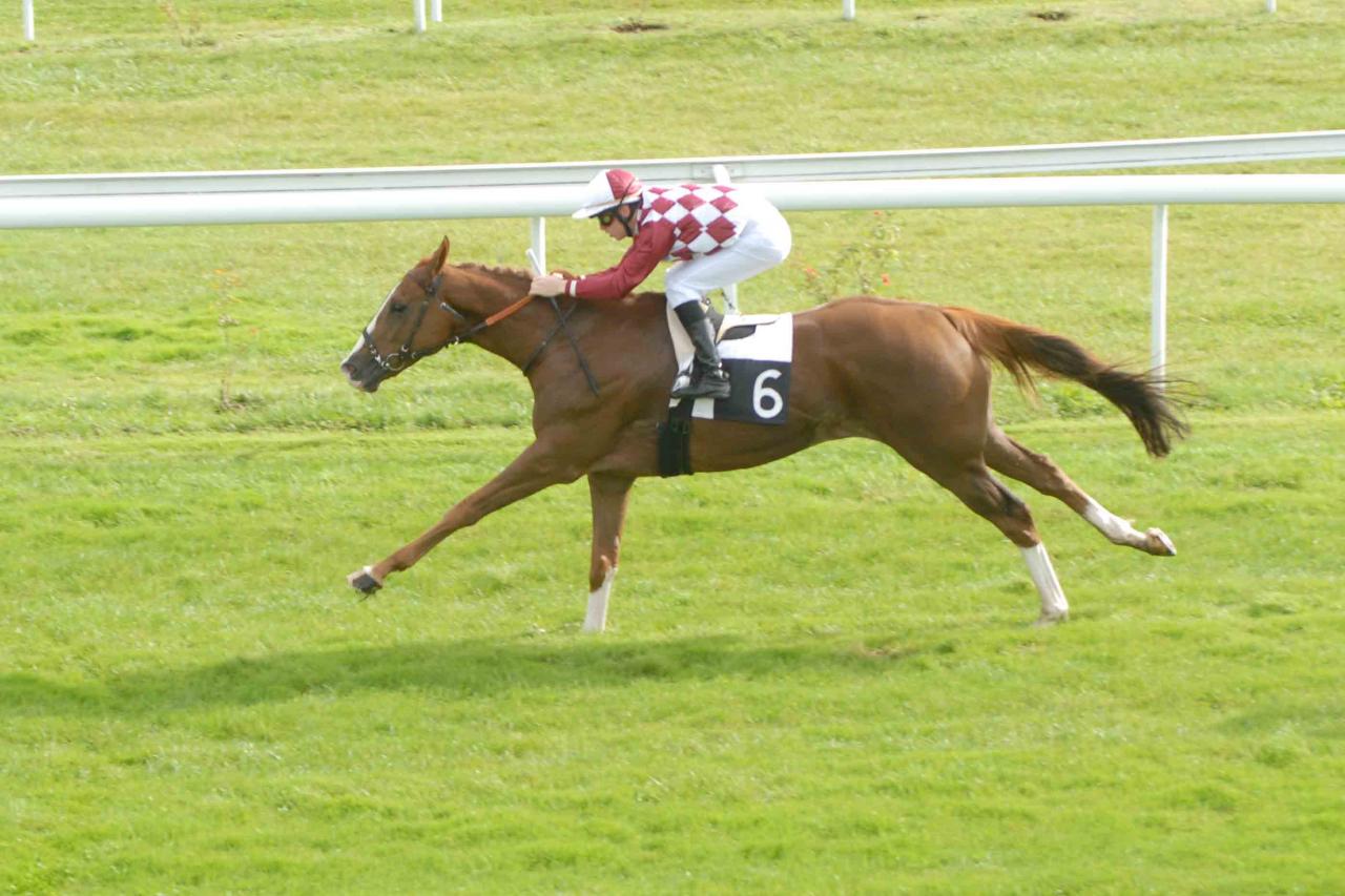 141007 Prix Jean Cruse au Bouscat