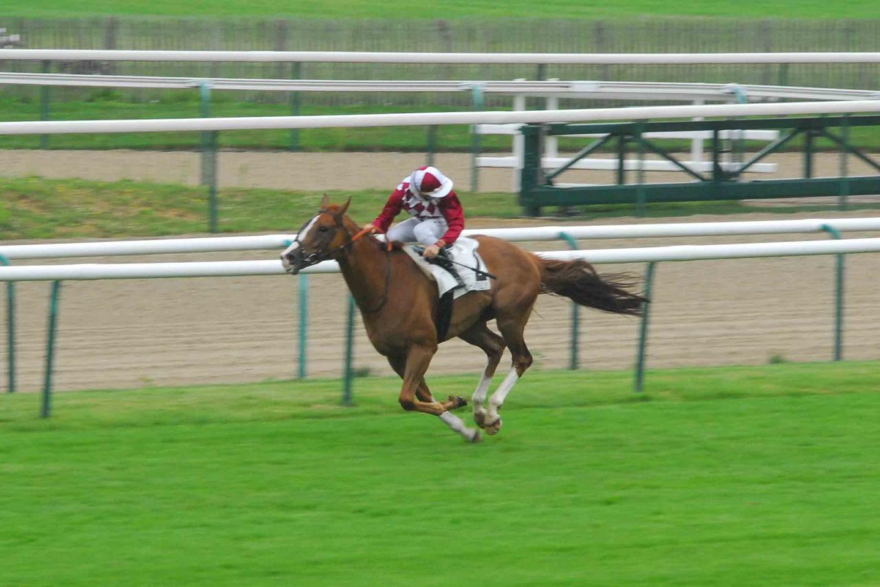 140729 Prix de la Croix de l'Oignon à Chantilly (1)