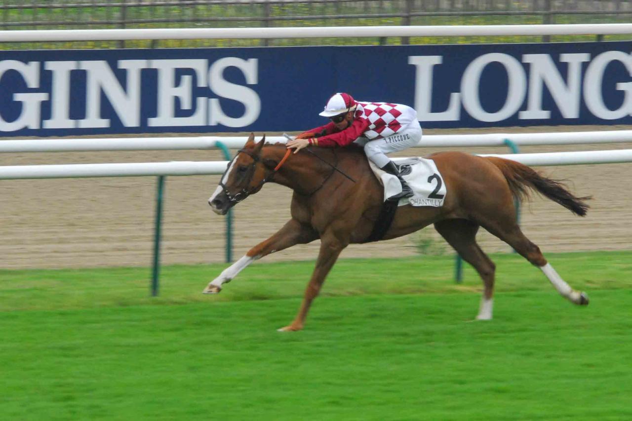 140729 Prix de la Croix de l'Oignon à Chantilly (2)