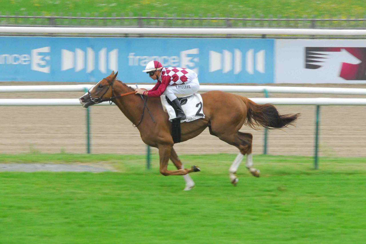 140729 Prix de la Croix de l'Oignon à Chantilly (3)