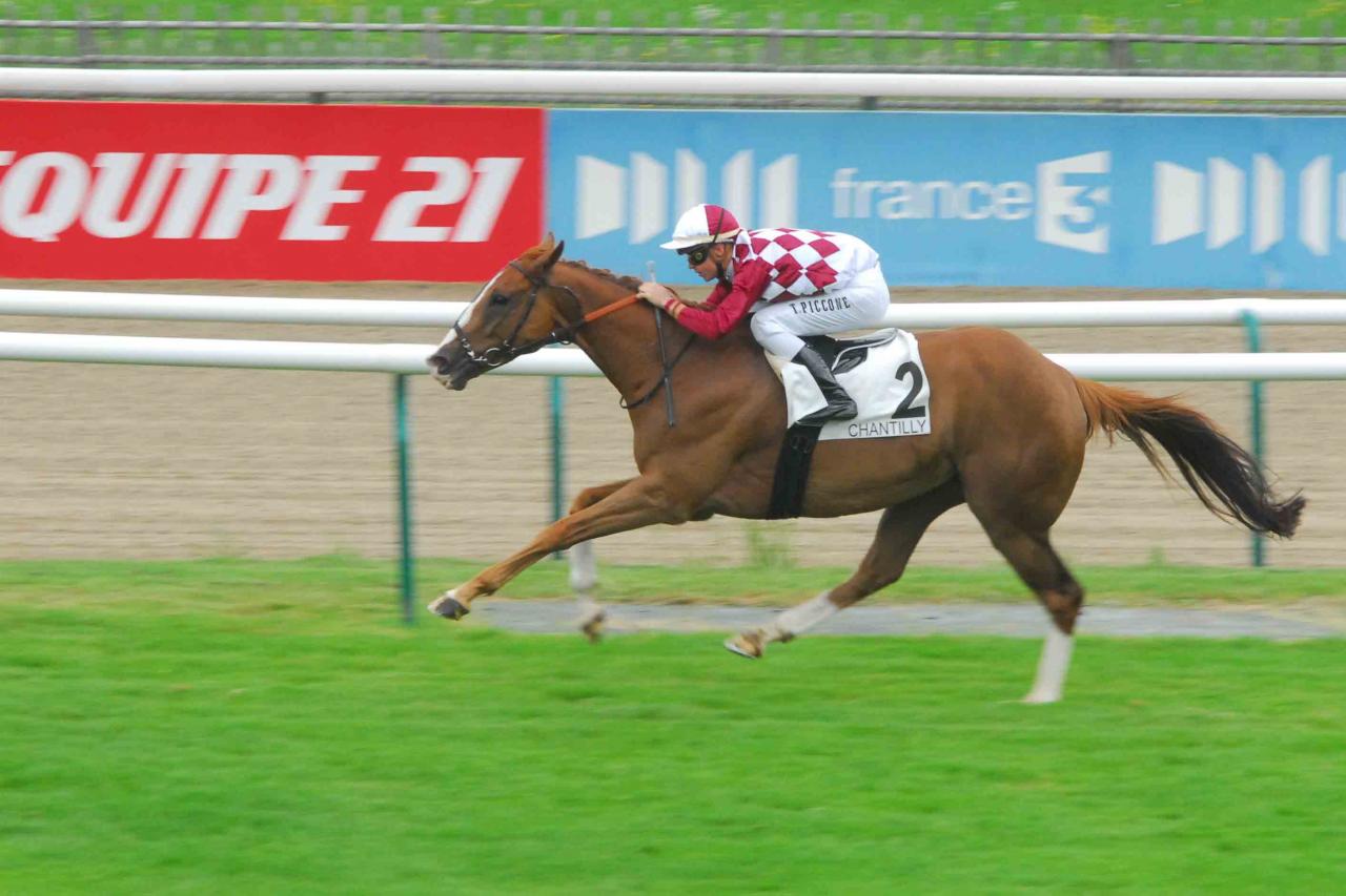 140729 Prix de la Croix de l'Oignon à Chantilly (4)