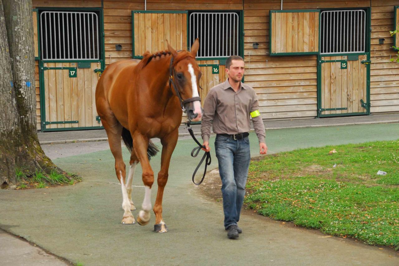 140729 Prix de la Croix de l'Oignon à Chantilly (5)