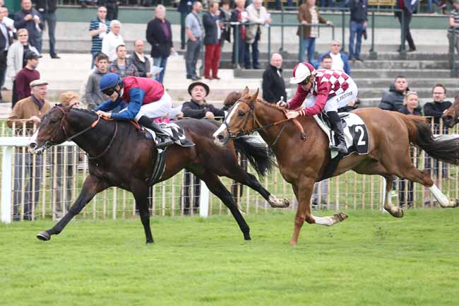 150424 Prix de la Chapelle-La-Reine à Fontainebleau, course D