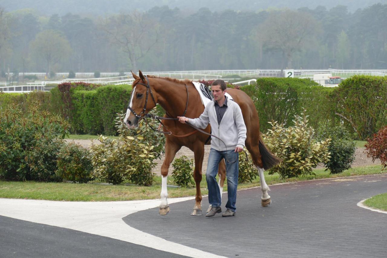 150424 Prix de la Chapelle-La-Reine à Fontainebleau, course D