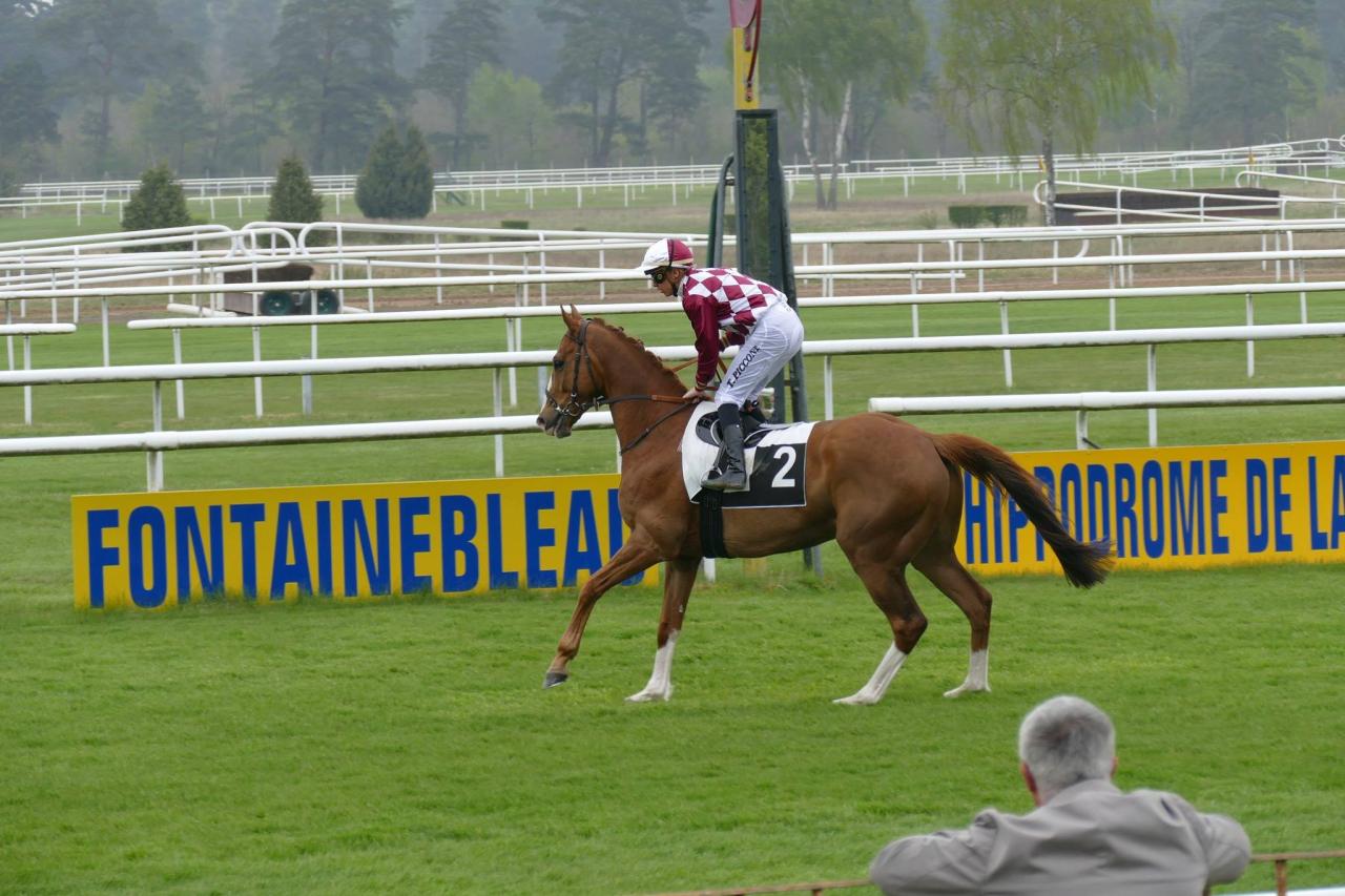 150424 Prix de la Chapelle-La-Reine à Fontainebleau, course D