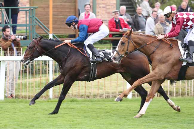 150424 Prix de la Chapelle-La-Reine à Fontainebleau, course D