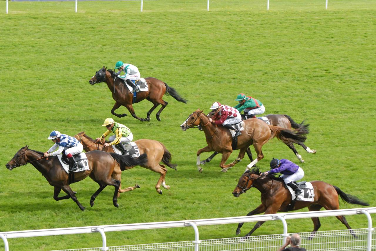 150511 Prix Prudent à Maisons Laffite, course D