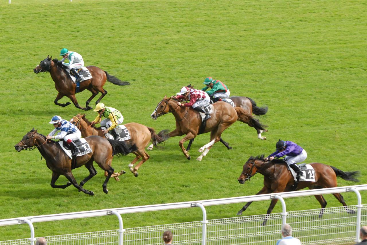 150511 Prix Prudent à Maisons Laffite, course D