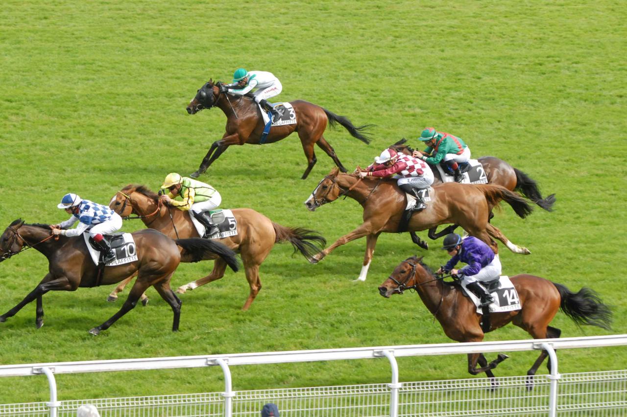150511 Prix Prudent à Maisons Laffite, course D