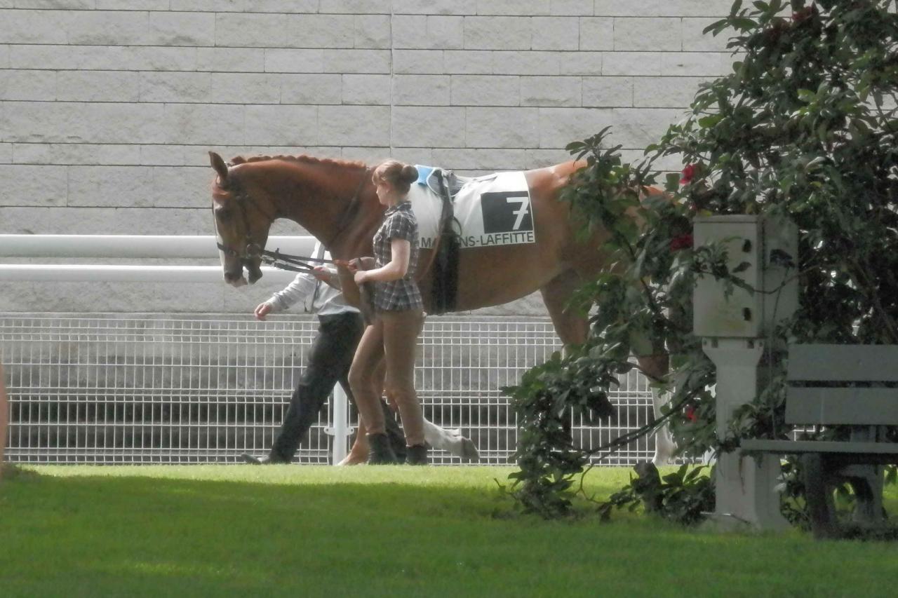 150511 Prix Prudent à Maisons Laffite, course D
