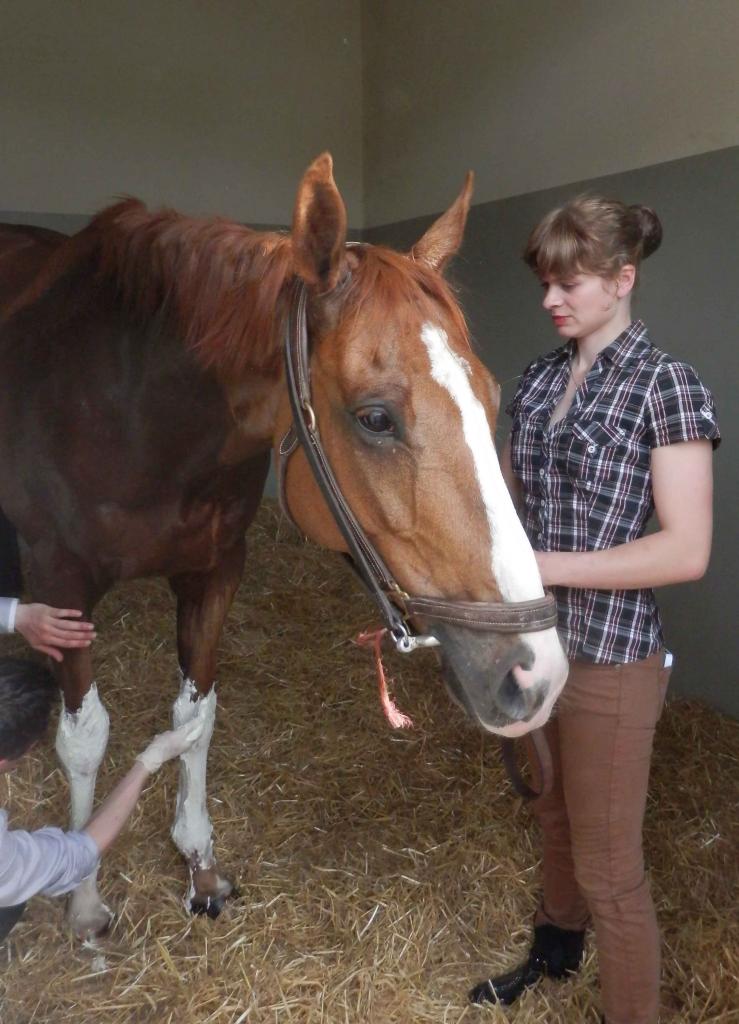 150511 Prix Prudent à Maisons Laffite, course D